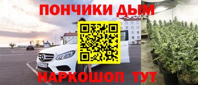 гидропоника Пугачёв