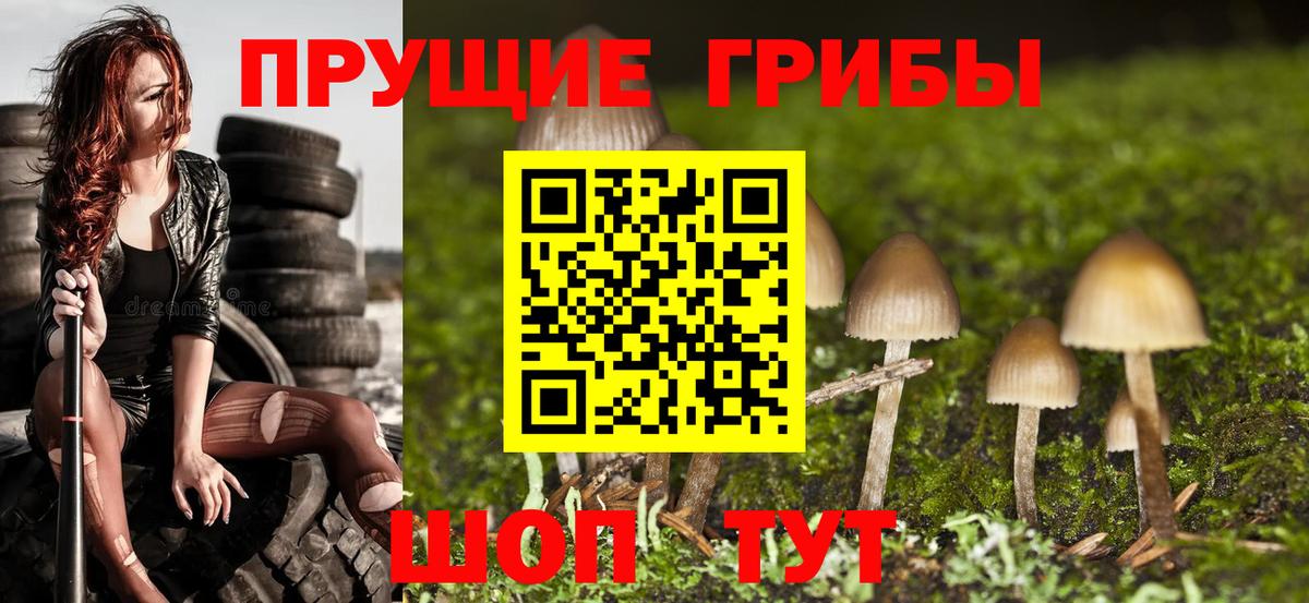 Галлюциногенные грибы MAGIC MUSHROOMS  Вход с VPN  Семилуки  Псилоцибиновые грибы GOLDEN TEACHER 